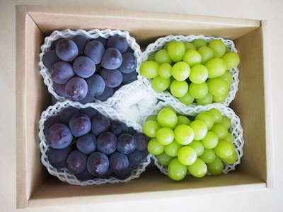 大人気 ぶどう セット 約2kg入 シャイン＆ピオーネ 【8月上旬～下旬