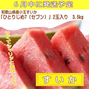 定期便全3回　和歌山の人気の夏のフルーツをお届け！【TM92154-tkb345】