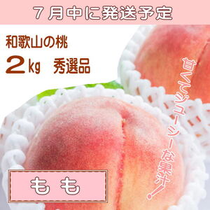 定期便全3回　和歌山の人気の夏のフルーツをお届け！【TM92154-tkb345】