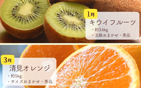 和歌山の旬の果実を 奇数月にお届け全6回定期便【TM49】【TM92156-tkb】