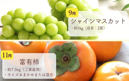 和歌山の旬の果実を 奇数月にお届け全6回定期便【TM49】【TM92156-tkb】