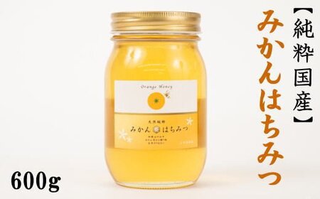 純粋国産］和歌山県産みかんはちみつ600g【2026年1月中旬～2026年1月