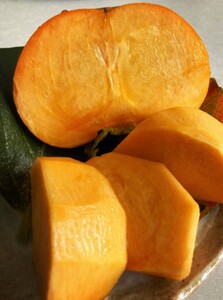 柿 希少品種の柿〇紀州てまり〇5玉化粧箱入り【2026年10月下旬以降発送】【A230-frks126】