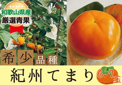 希少品種の柿〇紀州てまり〇6～7玉入り【2026年10月下旬以降発送】【A231-frks127】