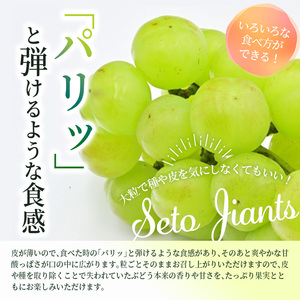 8×4 MEN デオドラントスプレー スマートシトラス 135g