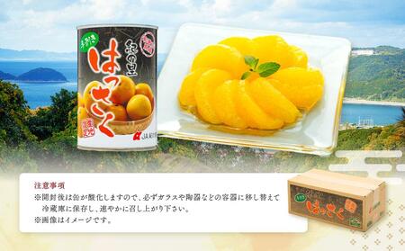 和歌山産手剥き八朔缶詰450g×8缶入り★2024年5月~順次発送【TM14】