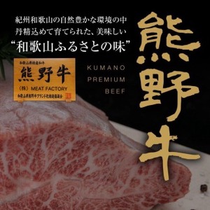 和歌山の老舗専門店の味 熊野牛・国産うなぎのうな牛丼セットB【MT24】