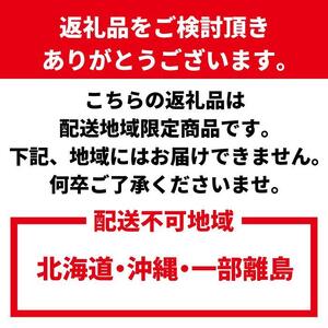 わかやま旬のくだもの定期便 全12回【Ｓ】【毎月発送 】※北海道・沖縄・離島への配送不可 S12-d