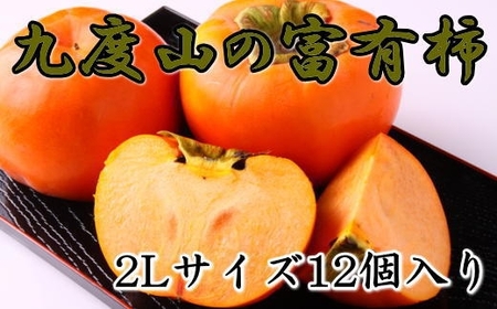 【数量限定】≪厳選・産直≫九度山町の富有柿2Lサイズ12個入り★2024年11月頃より順次発送