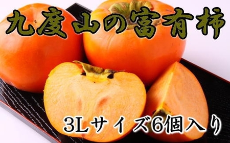 【数量限定】≪厳選・産直≫九度山町の富有柿3Lサイズ6個入り★2024年11月頃より順次発送