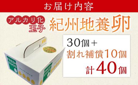 アルカリ化 玉子 紀州地養卵 合計 40個入 (30個＋割れ補償分10個）卵 たまご 玉子 タマゴ 鶏卵 まとめ買い オムレツ 卵かけご飯 朝食 業務用