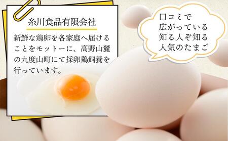 【定期便 毎月発送 全3回 】アルカリ化 玉子 紀州地養卵 合計 40個入 (30個＋割れ補償分10個）× 3回　卵 たまご 玉子 タマゴ 鶏卵 まとめ買い オムレツ 卵かけご飯 朝食 業務用