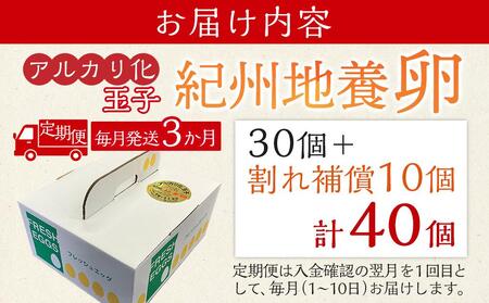 【定期便 毎月発送 全3回 】アルカリ化 玉子 紀州地養卵 合計 40個入 (30個＋割れ補償分10個）× 3回　卵 たまご 玉子 タマゴ 鶏卵 まとめ買い オムレツ 卵かけご飯 朝食 業務用