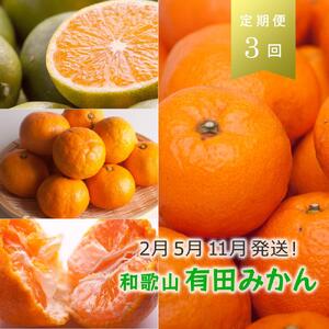 【 2・5・11月 全3回 】 柑橘定期便B【IKE8w】