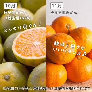 【 2・5・11月 全3回 】 柑橘定期便B【IKE8w】