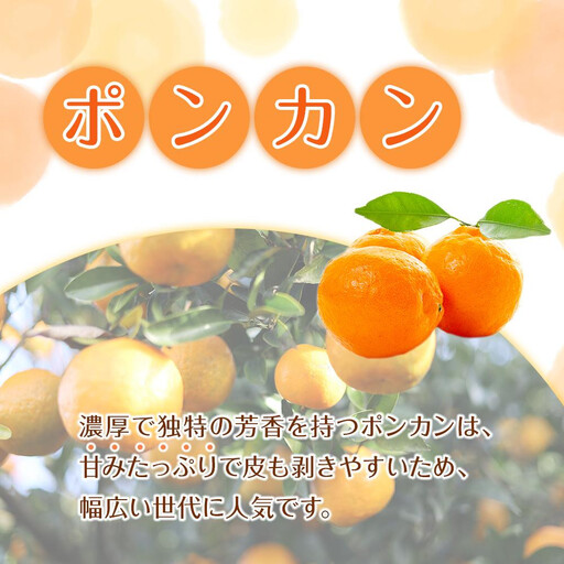 訳あり 森本農園の手選別 ポンカン 6kg 和歌山県産 サイズ混合 ［北海道・沖縄・離島配送不可］［RN14］［2027年1月上旬から順次発送］