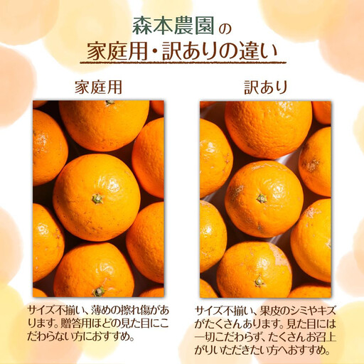 訳あり 森本農園の手選別 ポンカン 6kg 和歌山県産 サイズ混合 ［北海道・沖縄・離島配送不可］［RN14］［2027年1月上旬から順次発送］