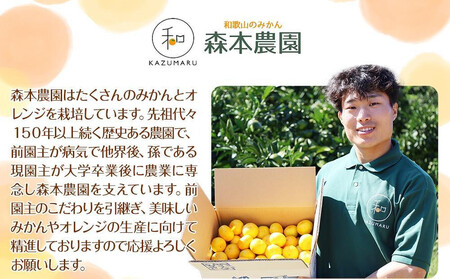 家庭用 森本農園の手選別 みかん 10kg 和歌山県産 2S~2Lサイズ混合 ［北海道・沖縄・離島配送不可］［RN31］［2025年11月上旬から順次発送］