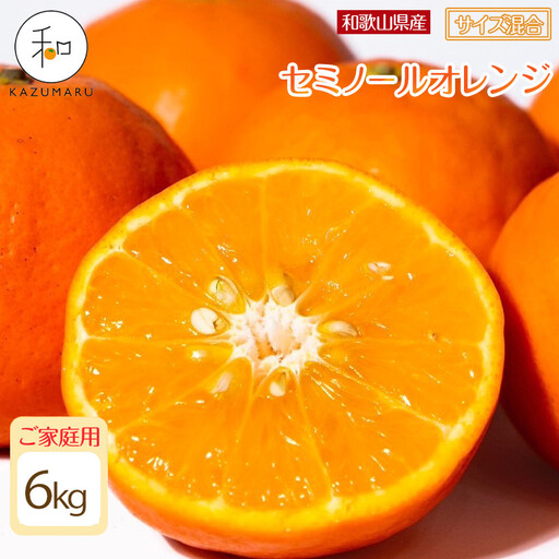 家庭用 森本農園の手選別 セミノールオレンジ 6kg 和歌山県産 サイズ混合 ［北海道・沖縄・離島配送不可］［RN36］［2026年4月中旬から順次発送］