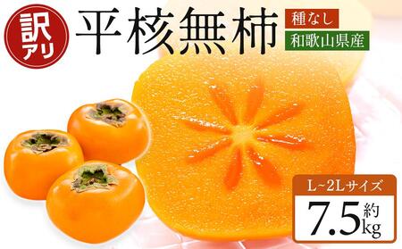 和歌山県産 訳あり 平核無柿 7.5kg L ~ 2L サイズ たねなし柿 種無し柿 ご家庭用 選果場 直送 2025年10月上旬～発送