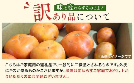 和歌山県産 訳あり 平核無柿 7.5kg L ~ 2L サイズ たねなし柿 種無し柿 ご家庭用 選果場 直送 2025年10月上旬～発送