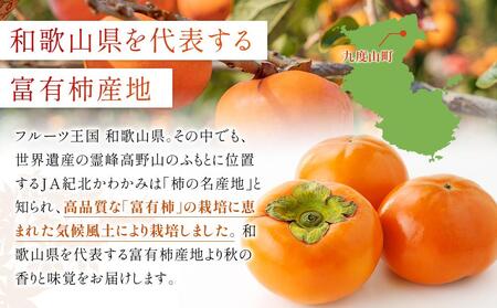 【2026年11月中旬～発送】和歌山県産 訳あり 富有柿 7.5kg L ~ 2L サイズ ご家庭用 柿 選果場 直送
