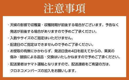 【2026年11月中旬～発送】和歌山県産 訳あり 富有柿 7.5kg L ~ 2L サイズ ご家庭用 柿 選果場 直送