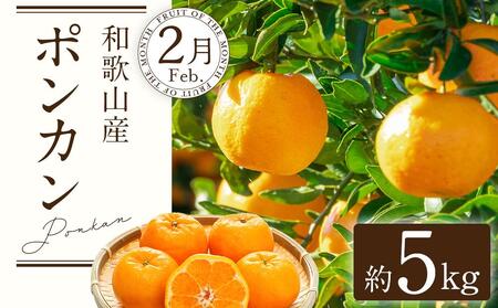 定期便全3回 【2月・3月・4月発送】 和歌山の春のフルーツ (ポンカン・清見オレンジ・まりひめ)【TM174】