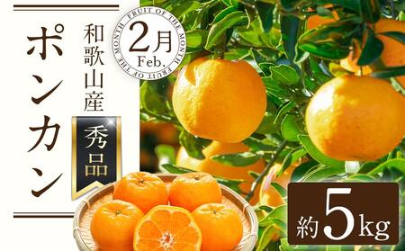 定期便全3回 【2月・3月・4月発送】 和歌山の春の柑橘 (ポンカン・はるか・ブラッドオレンジ)秀品【TM173】