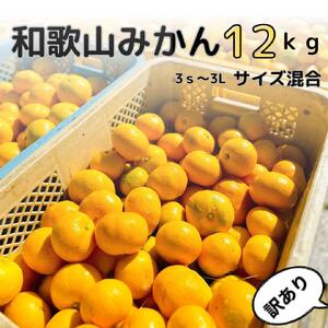 【訳あり】和歌山みかん約11kg+補償分約1kg サイズ混合 11月より順次発送 訳ありみかん 【red2】