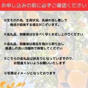 【訳あり】和歌山みかん約11kg+補償分約1kg サイズ混合 11月より順次発送 訳ありみかん 【red2】