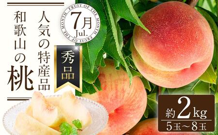 定期便全3回 【7月・8月・9月発送】 和歌山のフルーツをお届け(桃・たねなしピオーネ・シャインマスカット)【TM180】