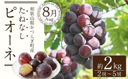 定期便全3回 【7月・8月・9月発送】 和歌山のフルーツをお届け(桃・たねなしピオーネ・シャインマスカット)【TM180】