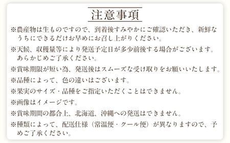 定期便全3回 【7月・8月・9月発送】 和歌山のフルーツをお届け(桃・たねなしピオーネ・シャインマスカット)【TM180】