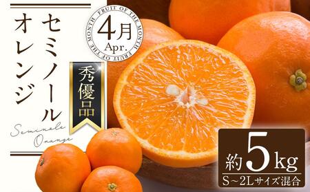 和歌山の春のフルーツ（ポンカン・清見オレンジ・セミノールオレンジ）定期便 全3回 【2月・3月・4月発送】【TM184】