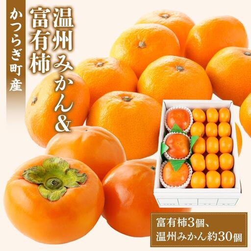 道の駅くしがきの里セット 富有柿3個・温州みかん約30個の詰め合わせ こだわり農家厳選［2026年11月初旬から11月末頃順次発送］［KG29］