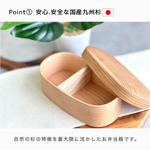 国産杉 ふっくら蓋 曲げわっぱ 弁当箱 まげわっぱ 白木［YS155］