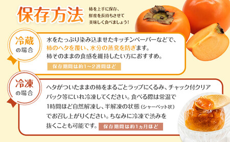 【2026年10月上旬以降発送】 和歌山県産 平核無柿 ご家庭用 約1.5kg 満杯詰  柿 種無し たねなし ひらたね 訳あり