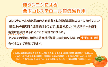 【2026年10月上旬以降発送】 和歌山県産 平核無柿 ご家庭用 約3kg 満杯詰  柿 種無し たねなし ひらたね 訳あり