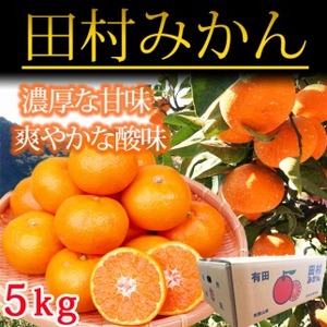高級ブランド田村みかん<5㎏>