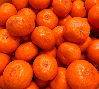 ［ご家庭用訳アリ］紀州有田産温州みかん7.5kg［2026年11月下旬以降発送］［先行予約］［UT10］