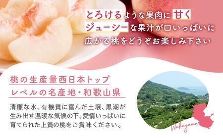 ［産直・人気の特産品］和歌山の桃　約2kg・秀選品★2026年6月下旬～8月中旬頃順次発送★［TM167］