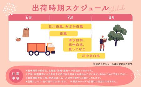 ［産直・人気の特産品］和歌山の桃　約2kg・秀選品★2026年6月下旬～8月中旬頃順次発送★［TM167］