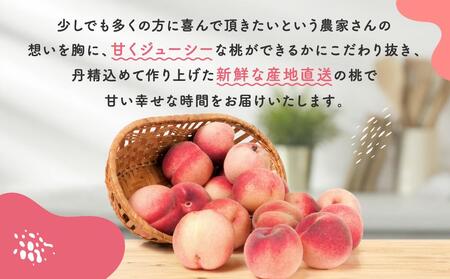 ［産直・人気の特産品］和歌山の桃　約2kg・秀選品★2026年6月下旬～8月中旬頃順次発送★［TM167］