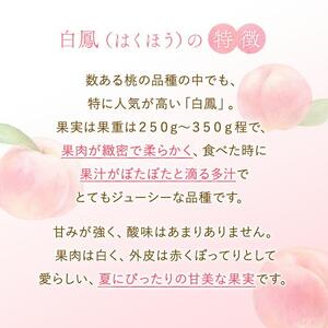 和歌山県産 白鳳 桃 11～16玉入り 訳あり ご家庭用 数量限定【2025年6月下旬以降発送】