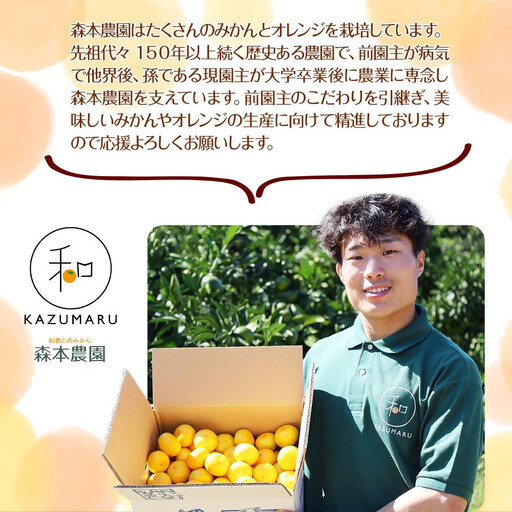 訳あり 森本農園の手選別 極早生みかん 約10kg 和歌山県産 2S~2Lサイズ混合 ［北海道・沖縄・離島配送不可］［RN41］［2026年10月上旬から順次発送］