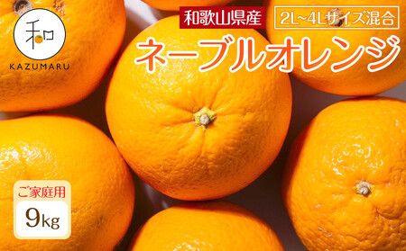 家庭用 森本農園の手選別 大玉ネーブルオレンジ 約9kg 和歌山県産 2L~4Lサイズ混合 ［北海道・沖縄・離島配送不可］［2026年1月上旬から順次発送］［RN107］★