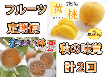秋の味覚フルーツ定期便 黄桃(黄貴妃)約2kg＆紀の川柿 約2kg【9月・10～11月の計2回発送】