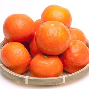 厳選 セミノールオレンジ 1kg+250g（傷み補償分）［春みかん］［有田産］［光センサー食べ頃出荷］ ［IKE275］