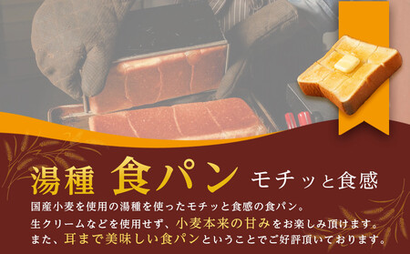 【ふるなびWEEK対象】【定期便 全３回 毎月発送】 国産小麦 使用 湯種食パン 2斤 パン工房 ヴァン・オランジュ FN-Limited-PR